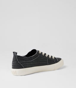 VIVID BW BLACK CANVAS