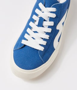 VICE BW ROYAL BLUE MULTI