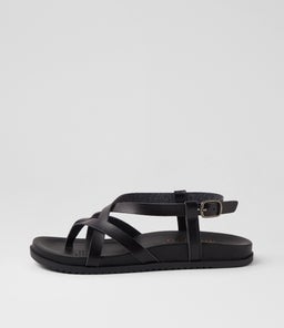 CAMDEN BW BLACK SMOOTH