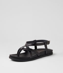 CAMDEN BW BLACK SMOOTH