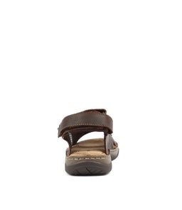 JURIE COFFEE CRAZYHORSE LEAT