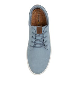 C ALBATROSS LIGHT BLUE CANVAS