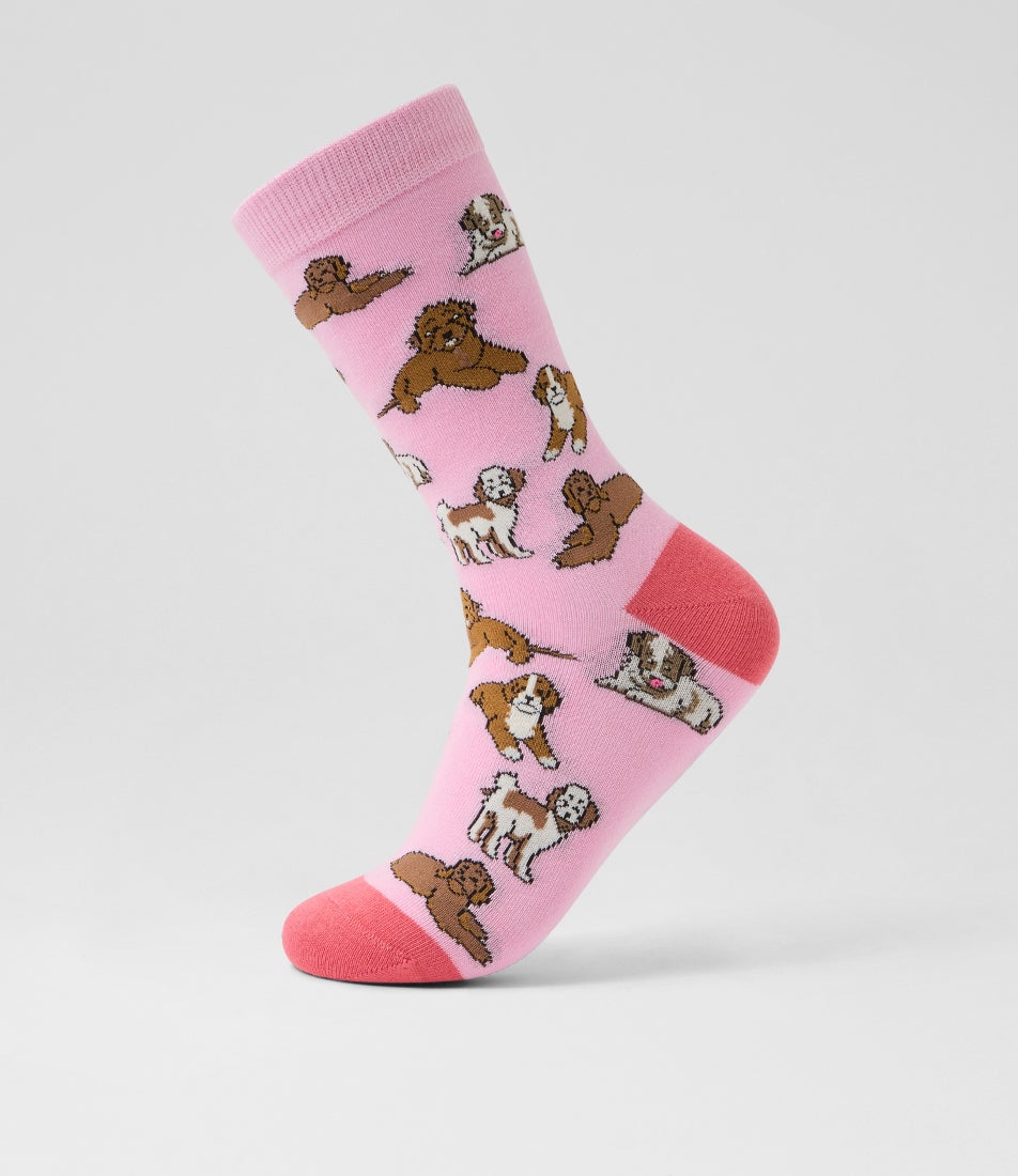 Small Dogs Multi Cotton Socks