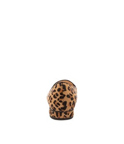 DUSTU DF LEOPARD PONY