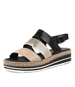 AKIDNA BLACK GOLD MULTI