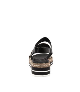 AKIDNA BLACK GOLD MULTI