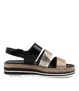 AKIDNA BLACK GOLD MULTI