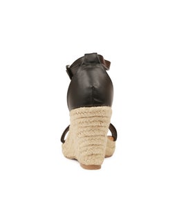 WHIPPET BLACK SMOOTH