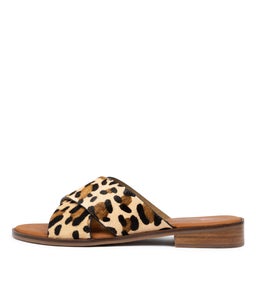 SABLE IL OCELOT PONY
