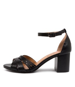 KARRINYUP IL BLACK MULTI
