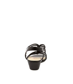 DALBY IL BLACK ELASTIC