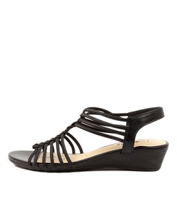 DALBY IL BLACK ELASTIC
