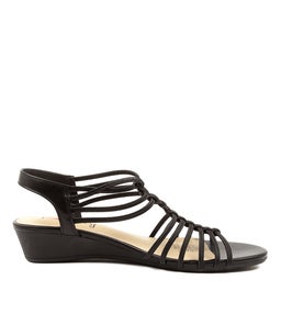 DALBY IL BLACK ELASTIC