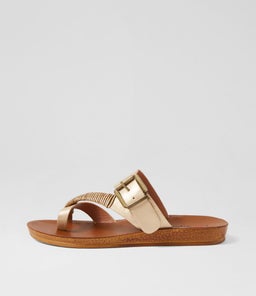 Kitoxes Golden Dust Mix Slides Kitoxes Golden Dust Mix Slides
