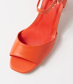 WORDSWORTH IL ORANGE SMOOTH