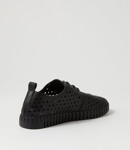 USHO IL BLACK SMOOTH