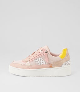 RORTEL IL ROSE MULTI