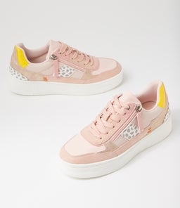 RORTEL IL ROSE MULTI