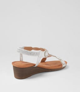 BRAILEE IL SILVER MULTI