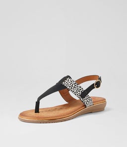 MARTINA IL BLACK CHEETAH MULTI