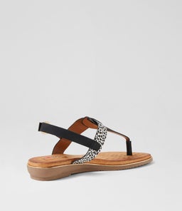 MARTINA IL BLACK CHEETAH MULTI