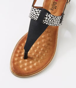 MARTINA IL BLACK CHEETAH MULTI