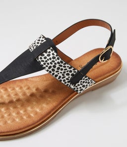 MARTINA IL BLACK CHEETAH MULTI