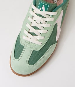 HOTSHOT SK GREEN PINK MIX