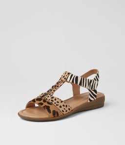 FERRARO2 SU LEOPARD MULTI