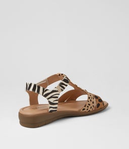 FERRARO2 SU LEOPARD MULTI