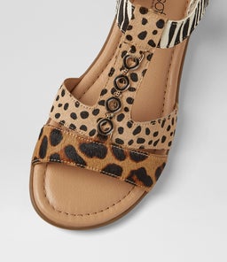 FERRARO2 SU LEOPARD MULTI