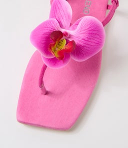 EMLYN TO PINK SUEDE