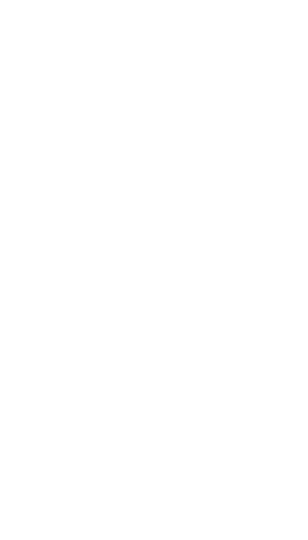 Windsor Smith